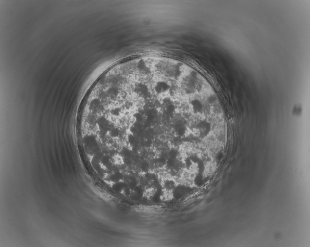 X0000116860147201002021113