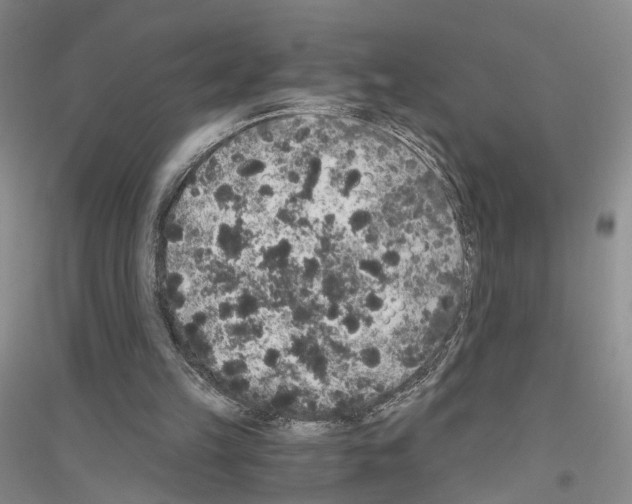 X0000116860149201002021113