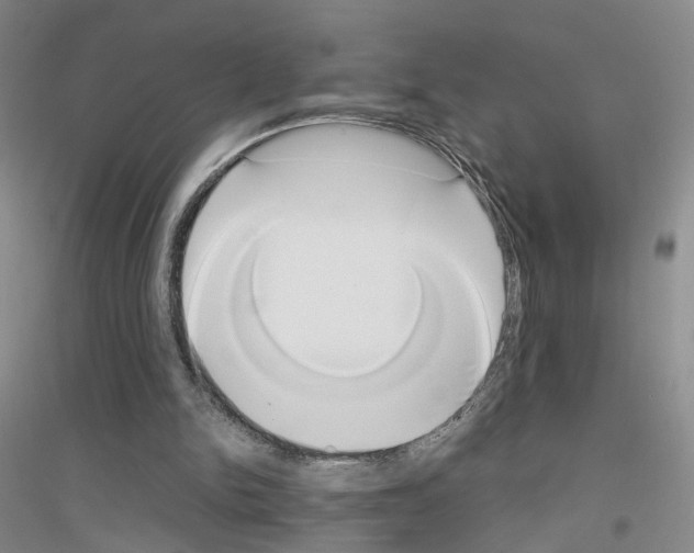 X0000116860150201002021113