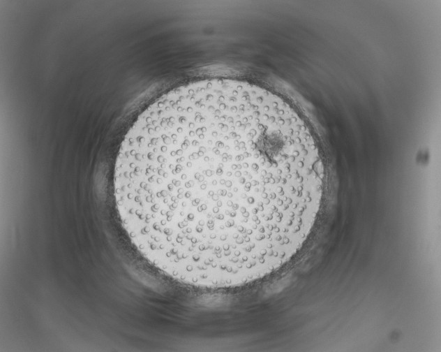 X0000116860153201002021113