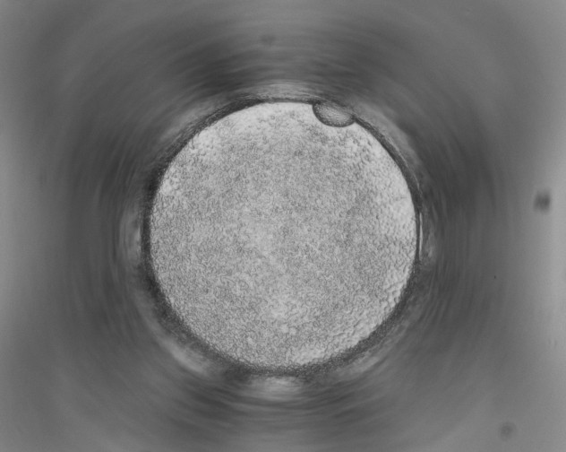 X0000116860157201002021113