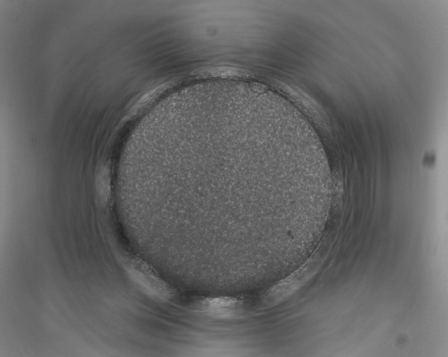 X0000116860158201002021113