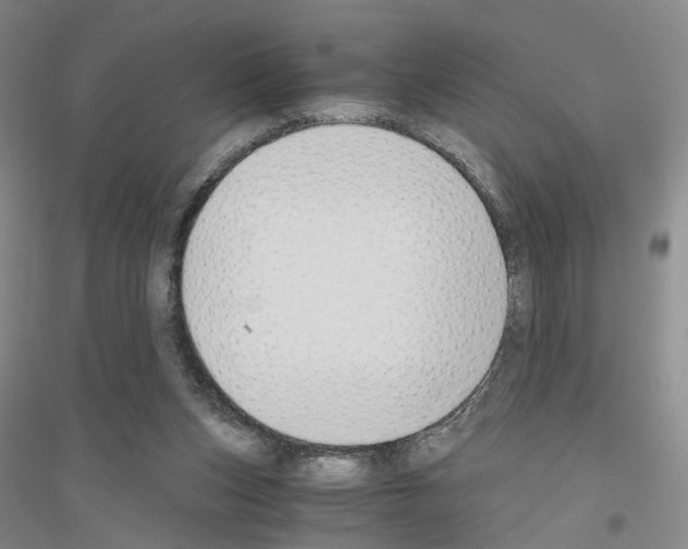 X0000116860159201002021113