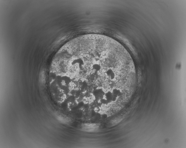 X0000116860161201002021113