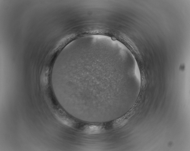 X0000116860163201002021113