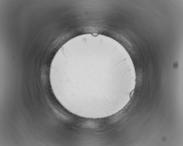 X0000116860166201002021114