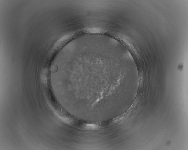 X0000116860167201002021114