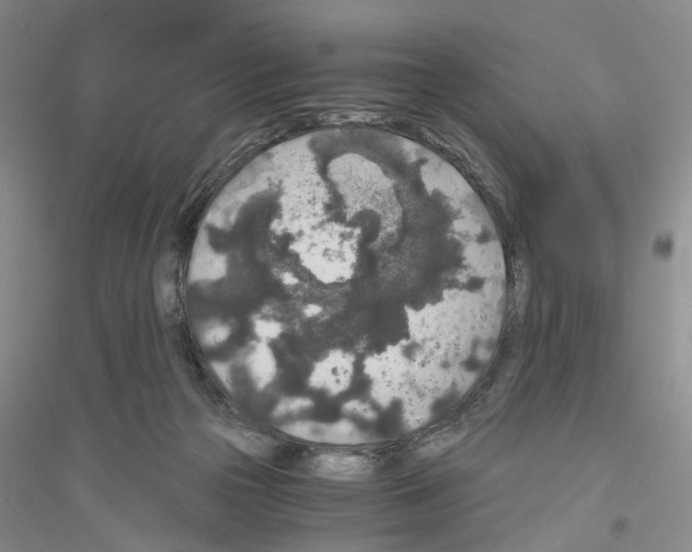 X0000116860169201002021114