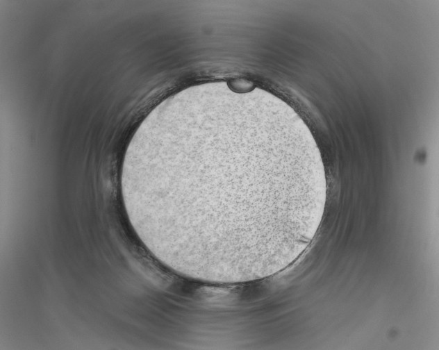 X0000116860170201002021114