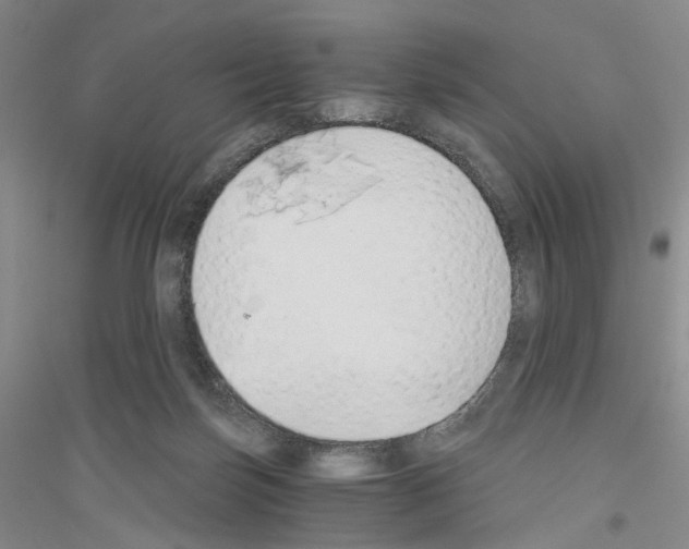 X0000116860171201002021114