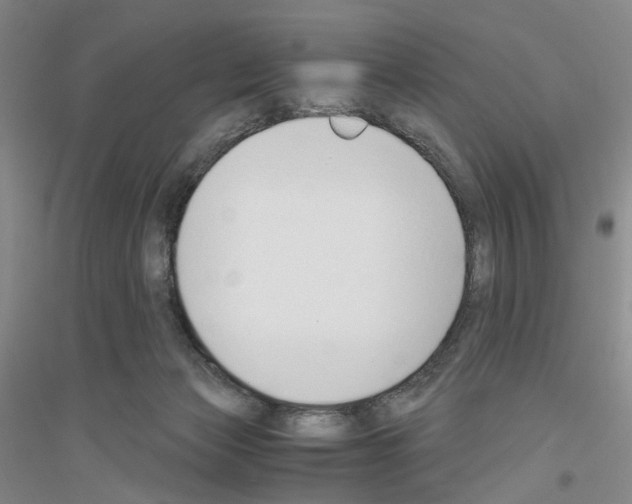 X0000116860173201002021114