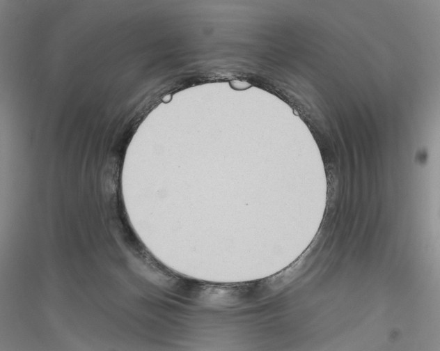 X0000116860174201002021114