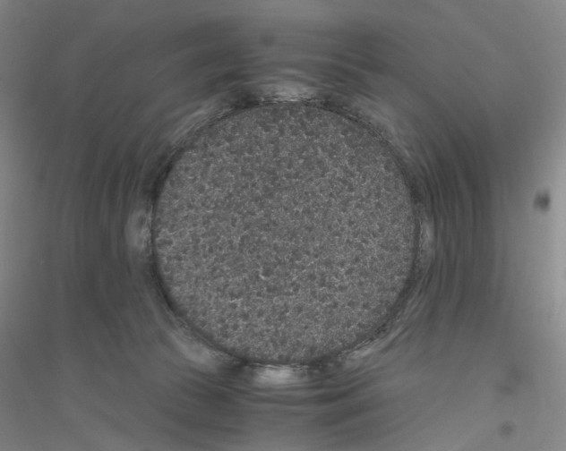 X0000116860177201002021114