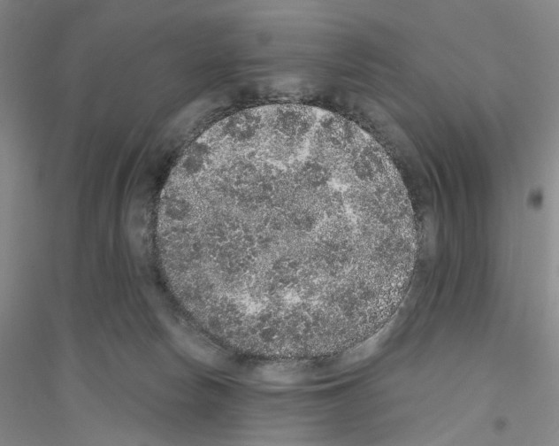 X0000116860178201002021114