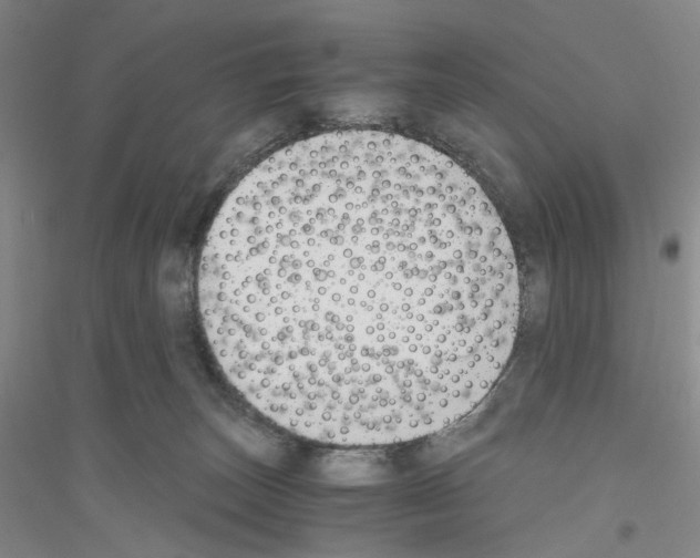 X0000116860179201002021114