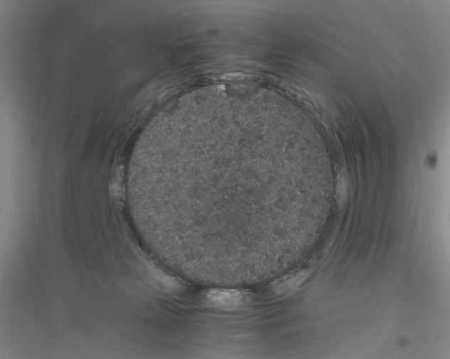 X0000116860181201002021114