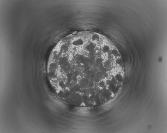 X0000116860182201002021114