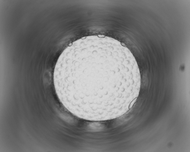 X0000116860183201002021114