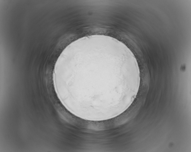 X0000116860185201002021114