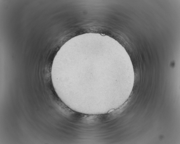 X0000116860186201002021114