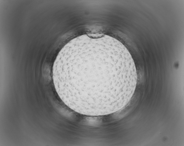 X0000116860187201002021114