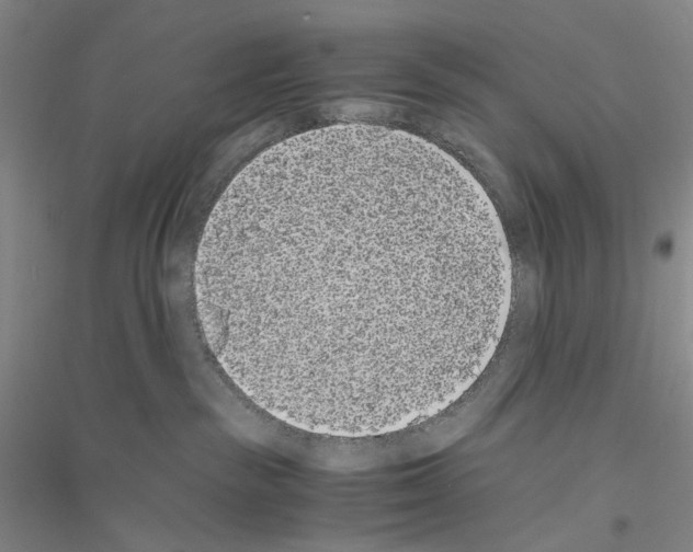 X0000116860189201002021114