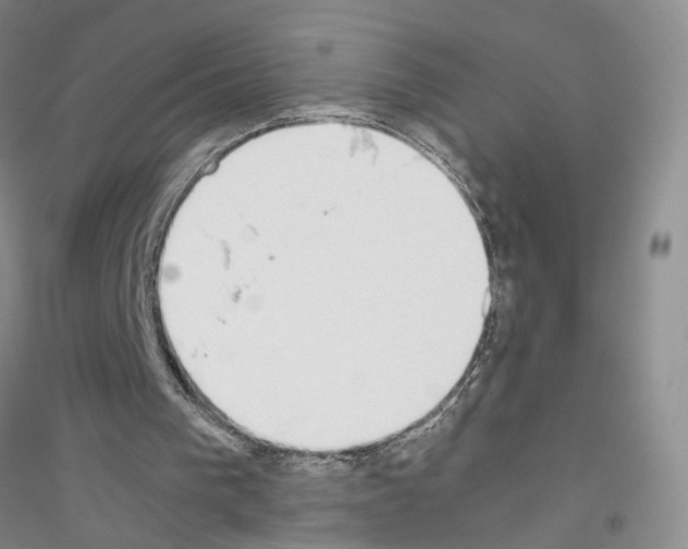 X0000116860193201002021113