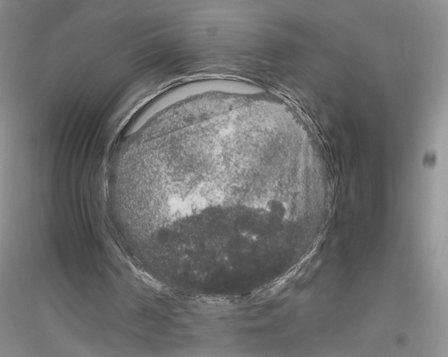 X0000116860194201002021113