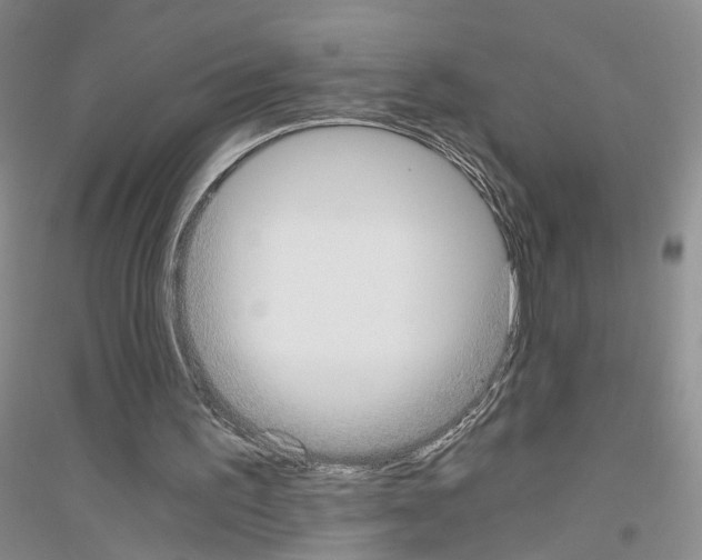 X0000116860195201002021113