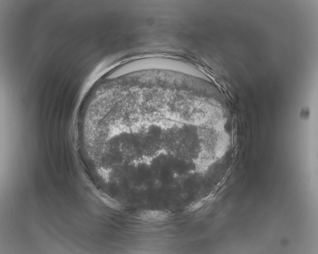 X0000116860198201002021113