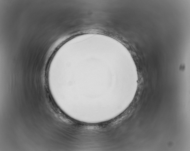 X0000116860200201002021113