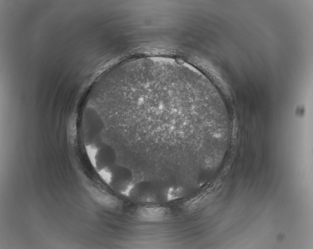 X0000116860202201002021113