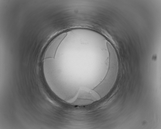 X0000116860203201002021113