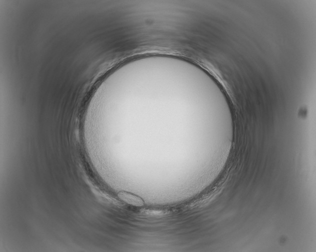 X0000116860205201002021113