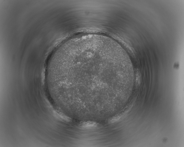 X0000116860206201002021113