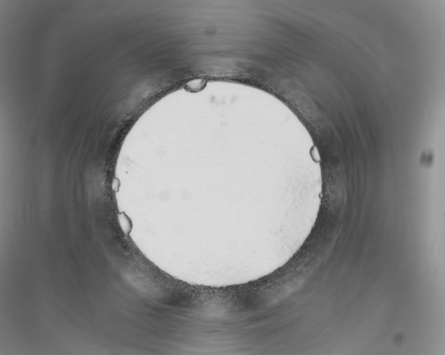 X0000116860207201002021113