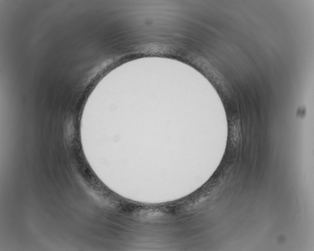 X0000116860208201002021113