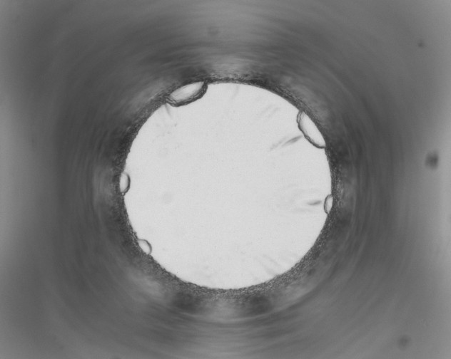 X0000116860211201002021113