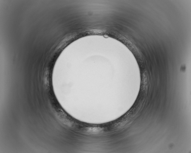 X0000116860212201002021113