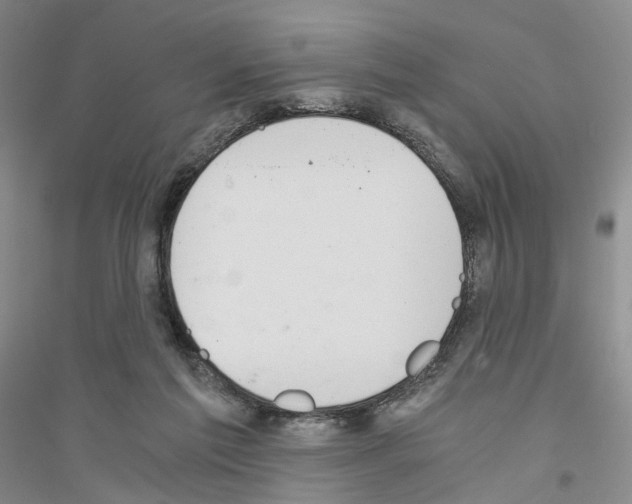 X0000116860213201002021113