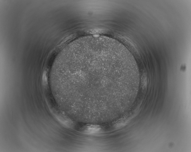 X0000116860214201002021113