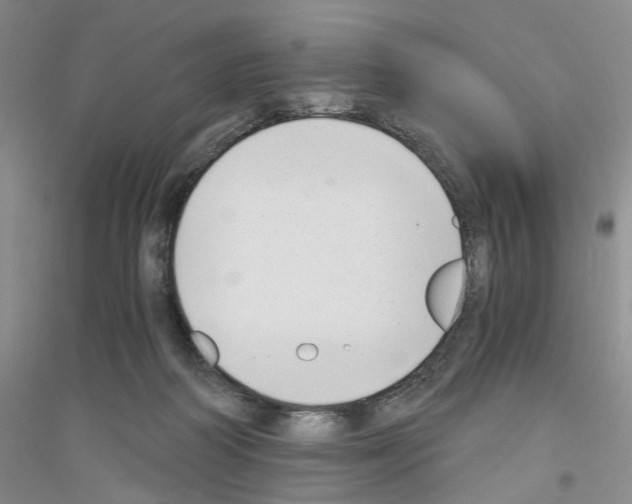 X0000116860218201002021113