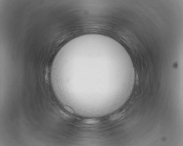 X0000116860219201002021113