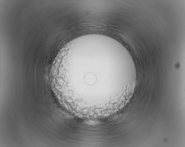 X0000116860221201002021113