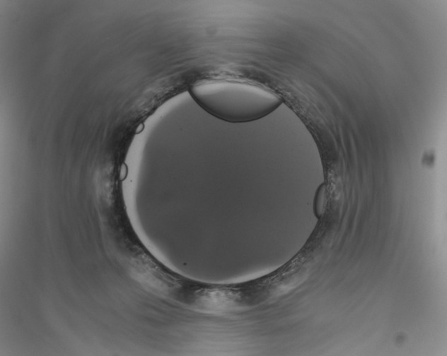 X0000116860223201002021113