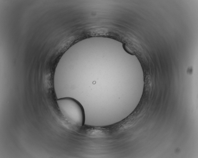 X0000116860224201002021113