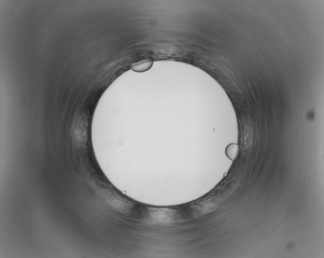 X0000116860226201002021113