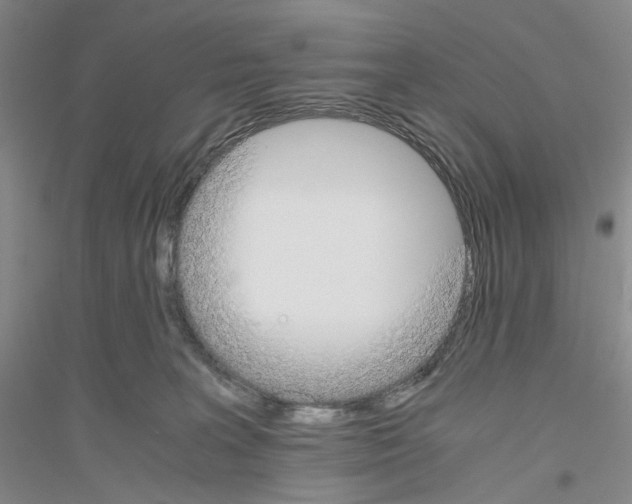 X0000116860227201002021113