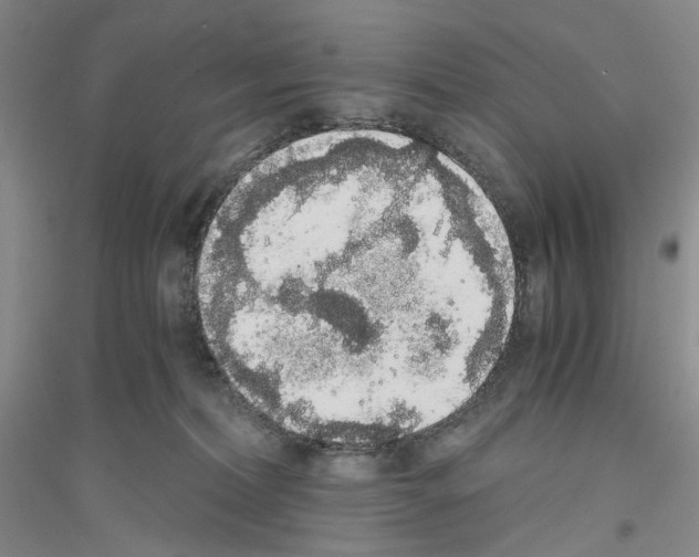 X0000116860228201002021113