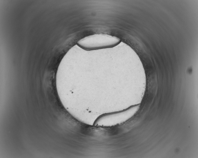 X0000116860229201002021113